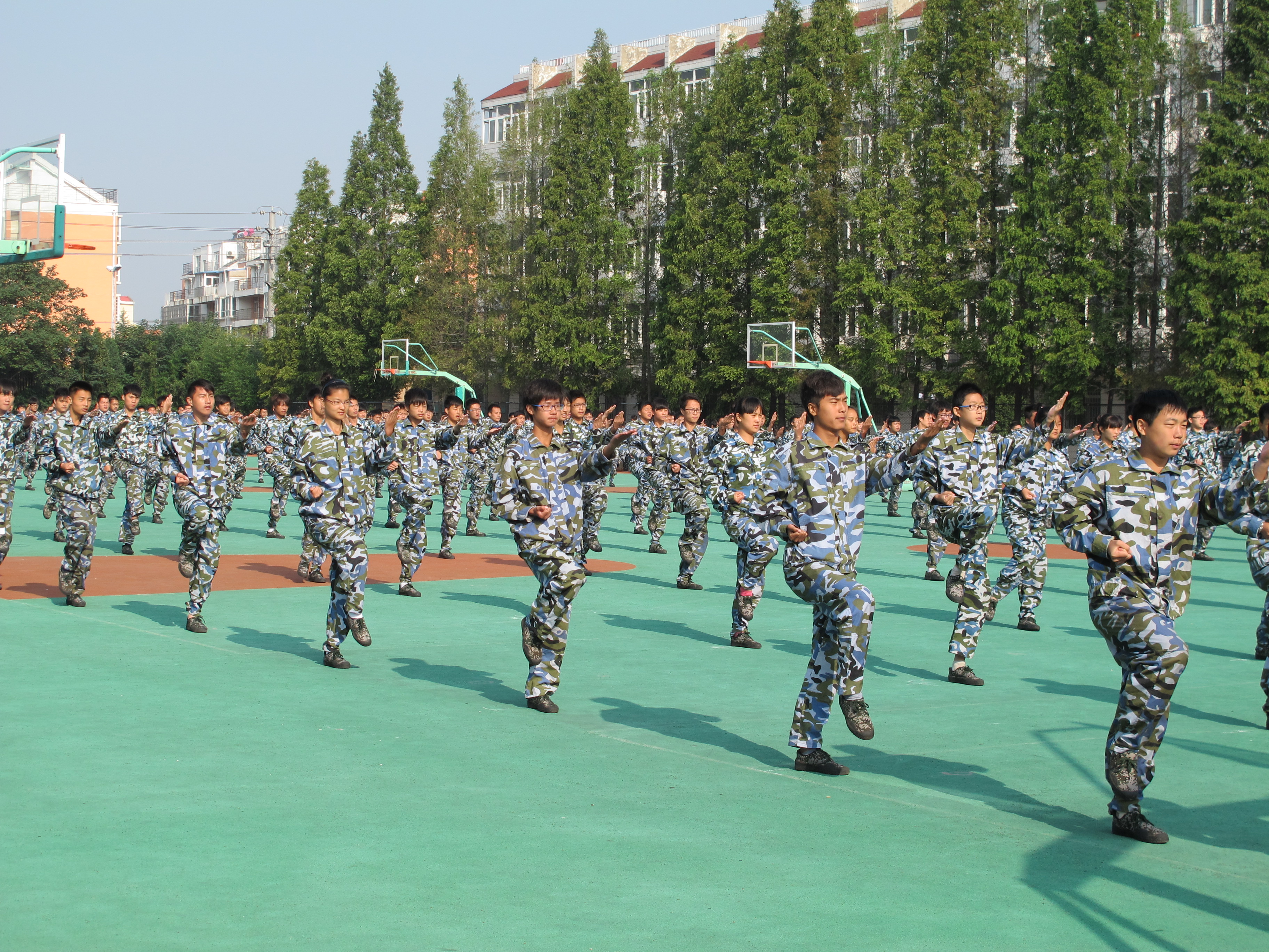 軍體拳表演
