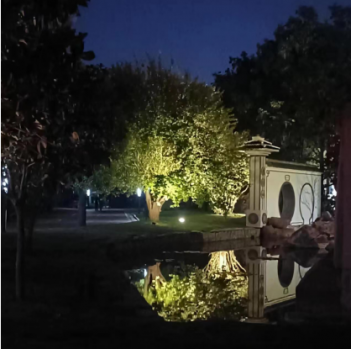 “满园”夜景